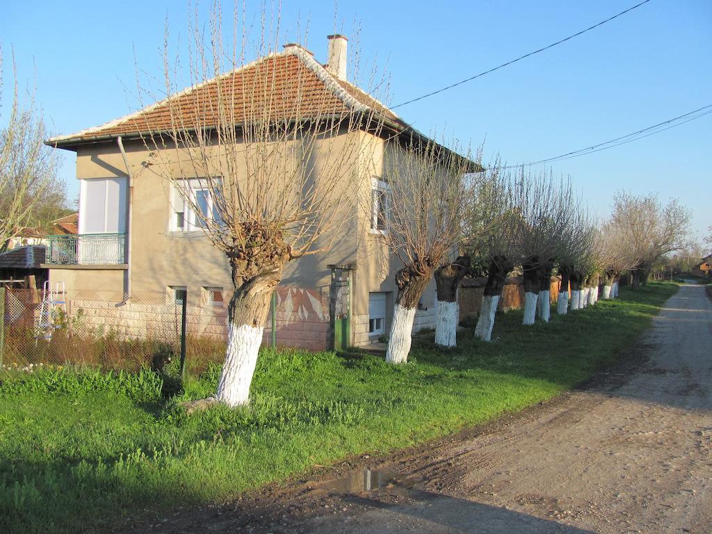 Rogozen B&B Buitenkant foto