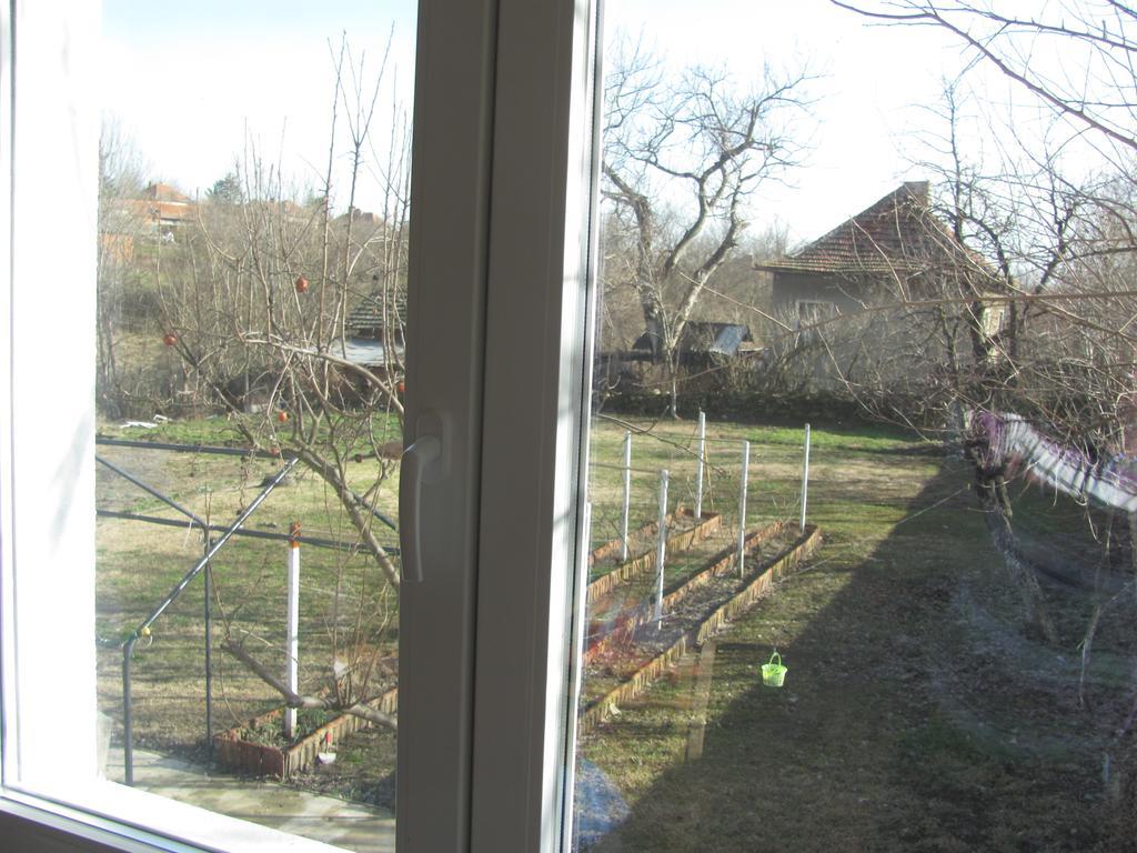 Rogozen B&B Buitenkant foto